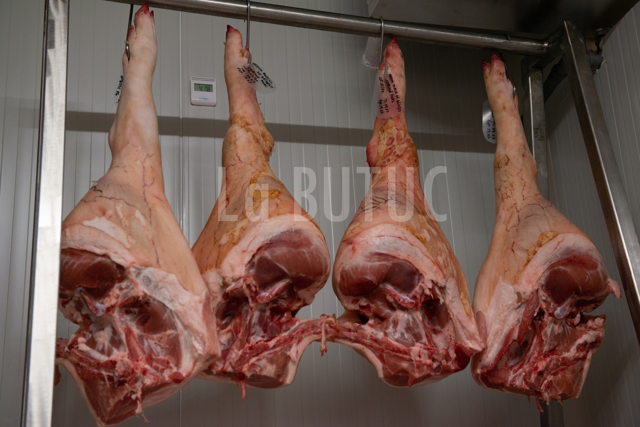 Carne de porc românească pregătită pentru carmangerie